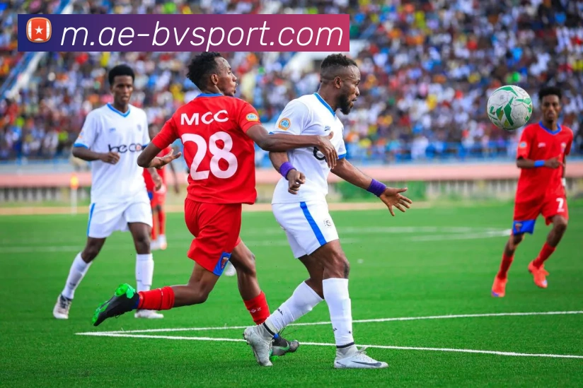 宝威体育平台生态图