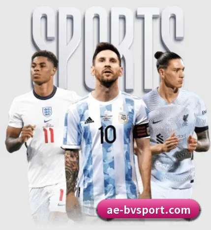 宝威体育 APP - BOWWAYSPORTS